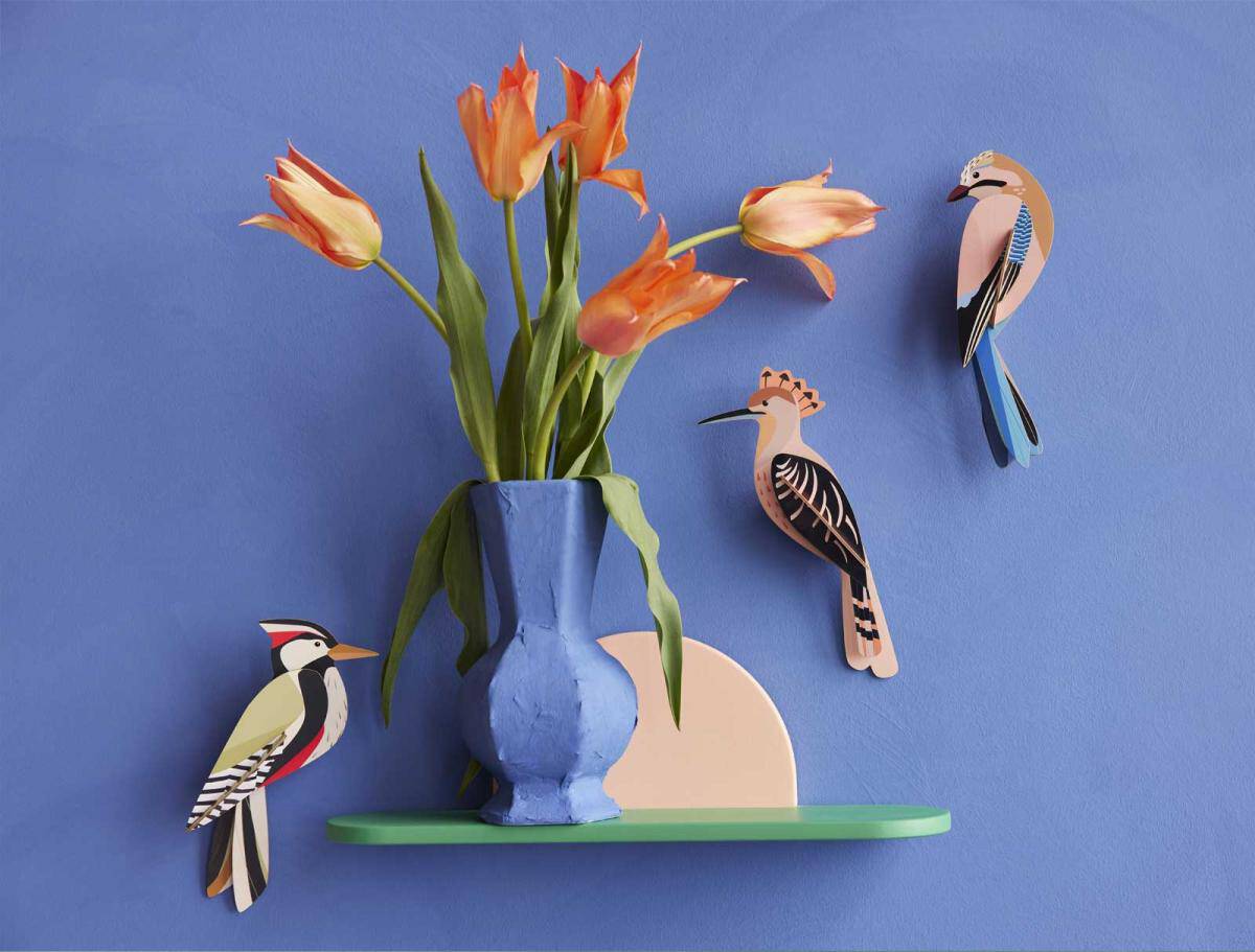 Hoopoe - StudioROOF