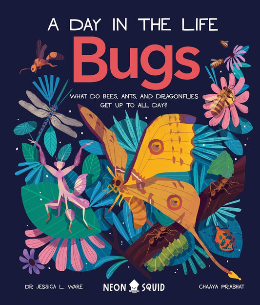 Bugs: A Day in the Life - By Dr Jessica L. Ware