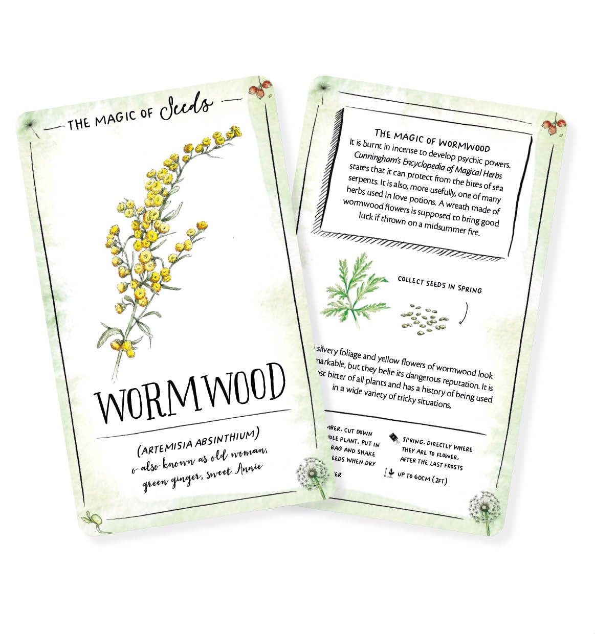 The Magic of Seeds Card Deck - By Clare Gogerty