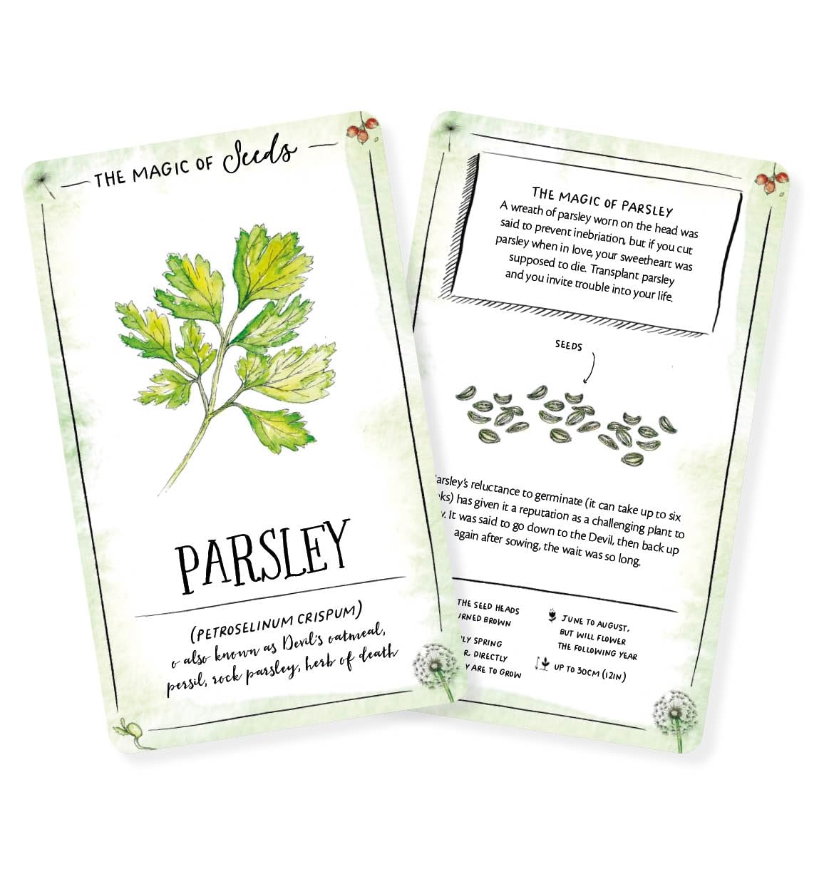 The Magic of Seeds Card Deck - By Clare Gogerty