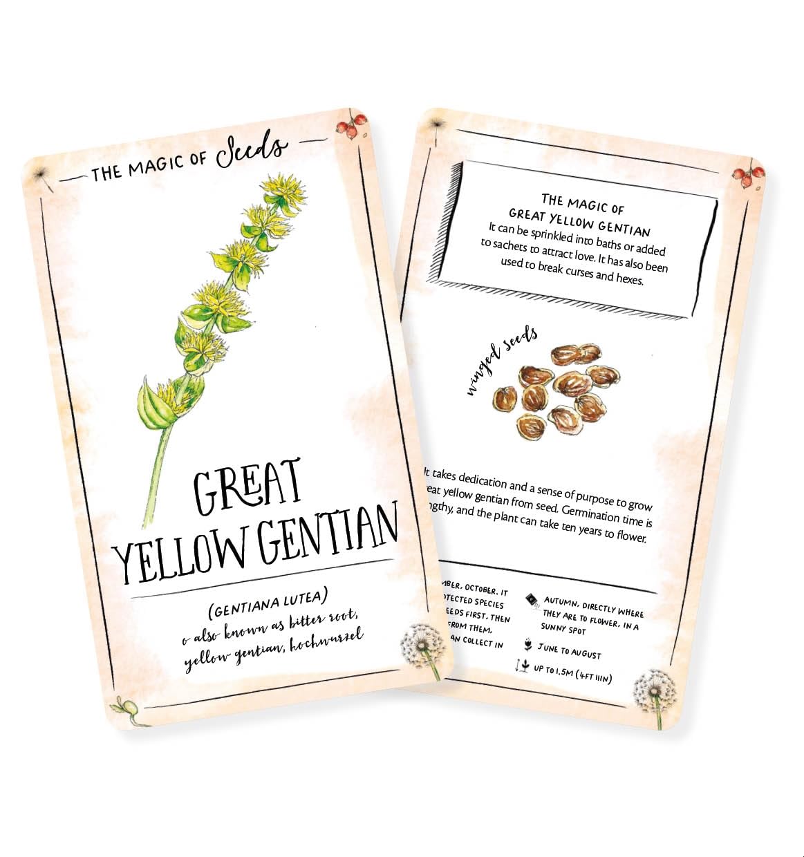 The Magic of Seeds Card Deck - By Clare Gogerty