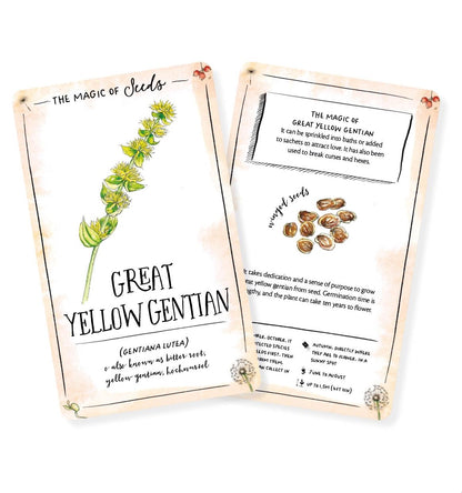 The Magic of Seeds Card Deck - By Clare Gogerty