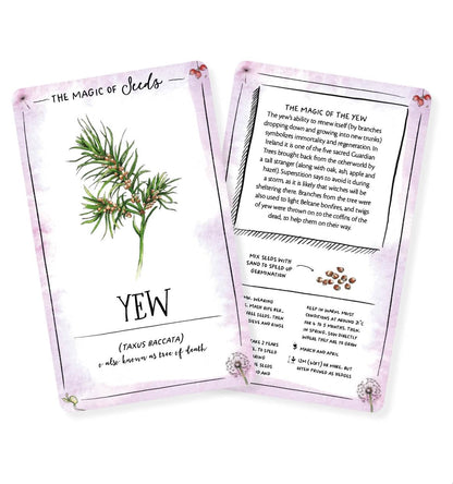The Magic of Seeds Card Deck - By Clare Gogerty