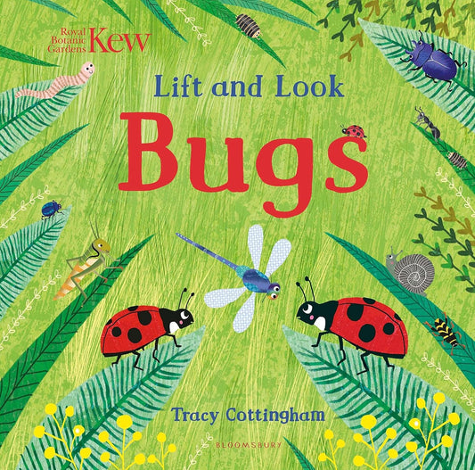 Kew: Lift and Look Bugs - By Tracy Cottingham