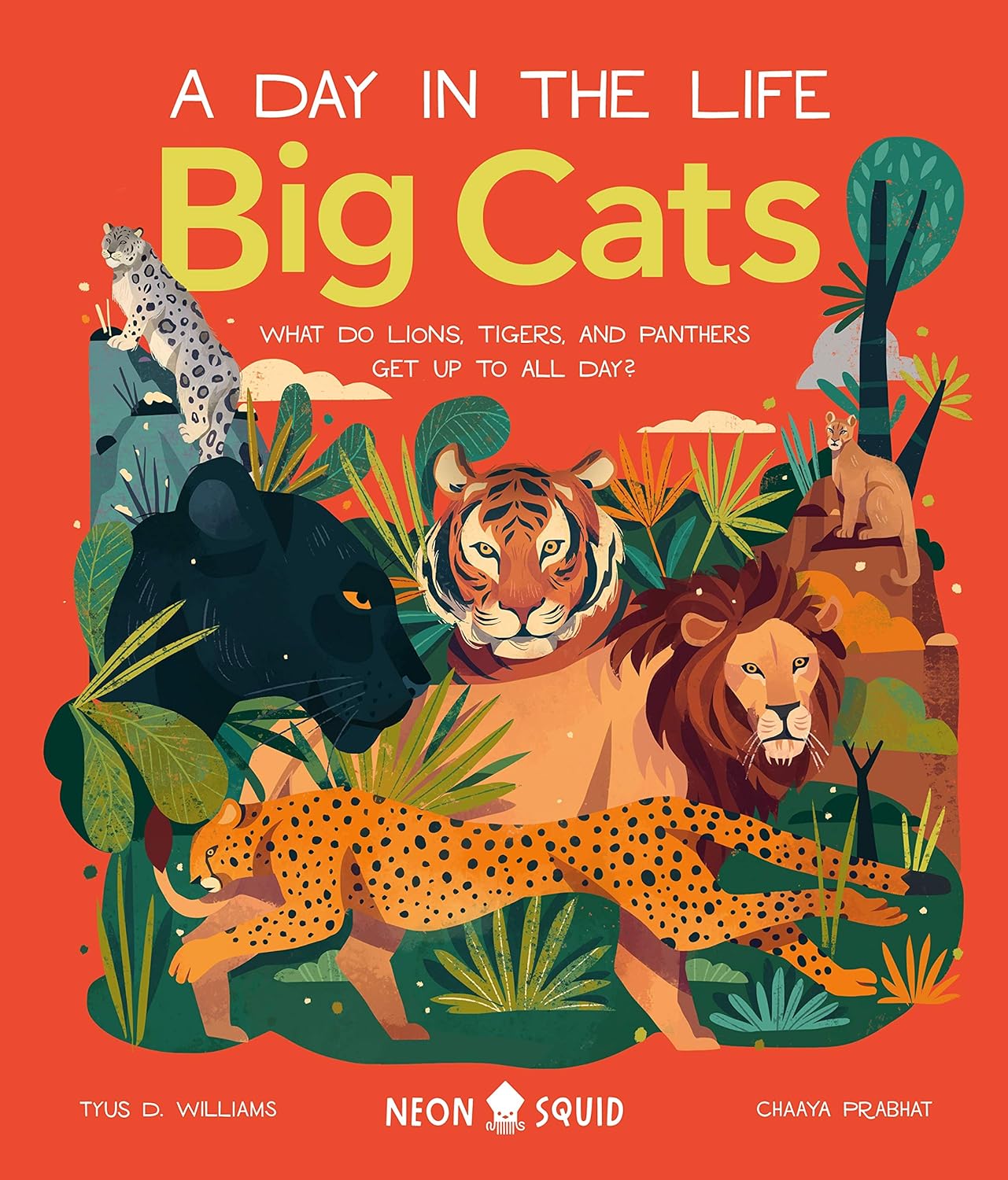 A Day in the Life: Big Cats - By Tyus D. Williams