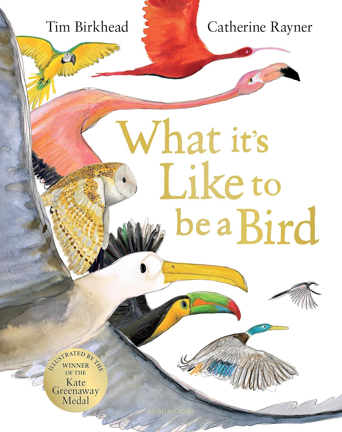 What it’s Like to be a Bird - By Tim Birkhead & Catherine Rayner