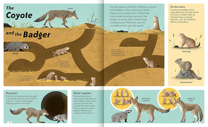 Animal Sidekicks - By Macken Murphy & Dragan Kordić