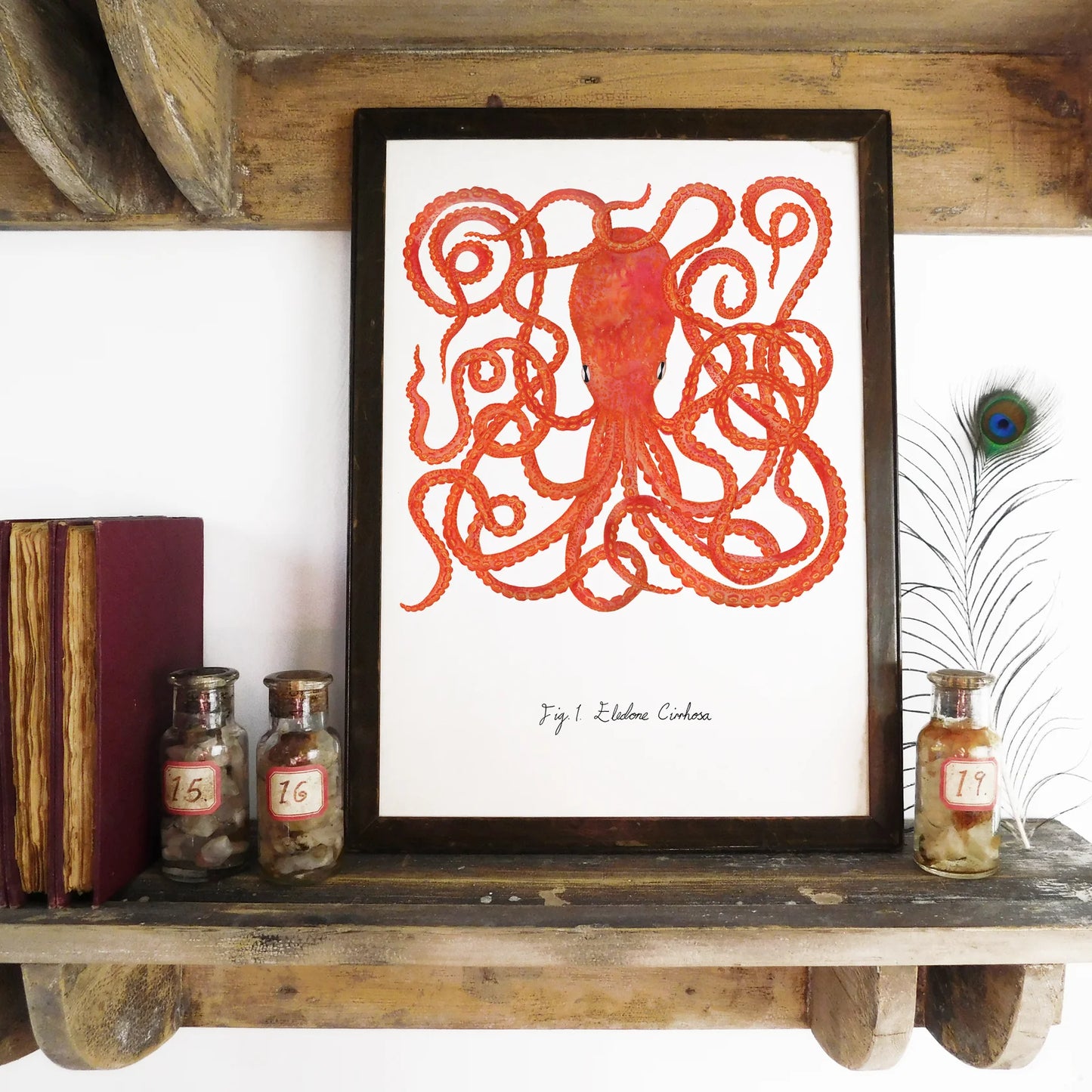 Octopoda Octopus Art Print