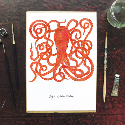 Octopoda Octopus Art Print