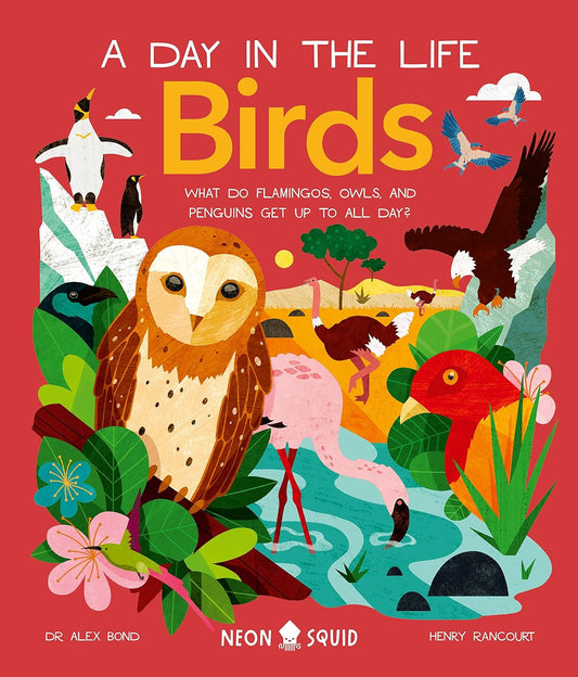 Birds: A Day in the Life - By Dr Alex Bond