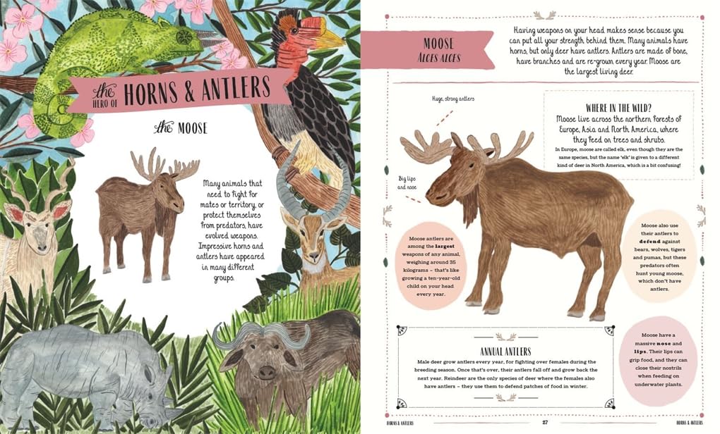 Wild - By Jack Ashby & Sara Boccaccini Meadows