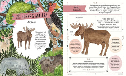 Wild - By Jack Ashby & Sara Boccaccini Meadows