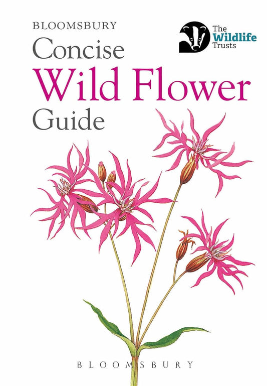 Concise Wild Flower Guide - By Bloomsbury