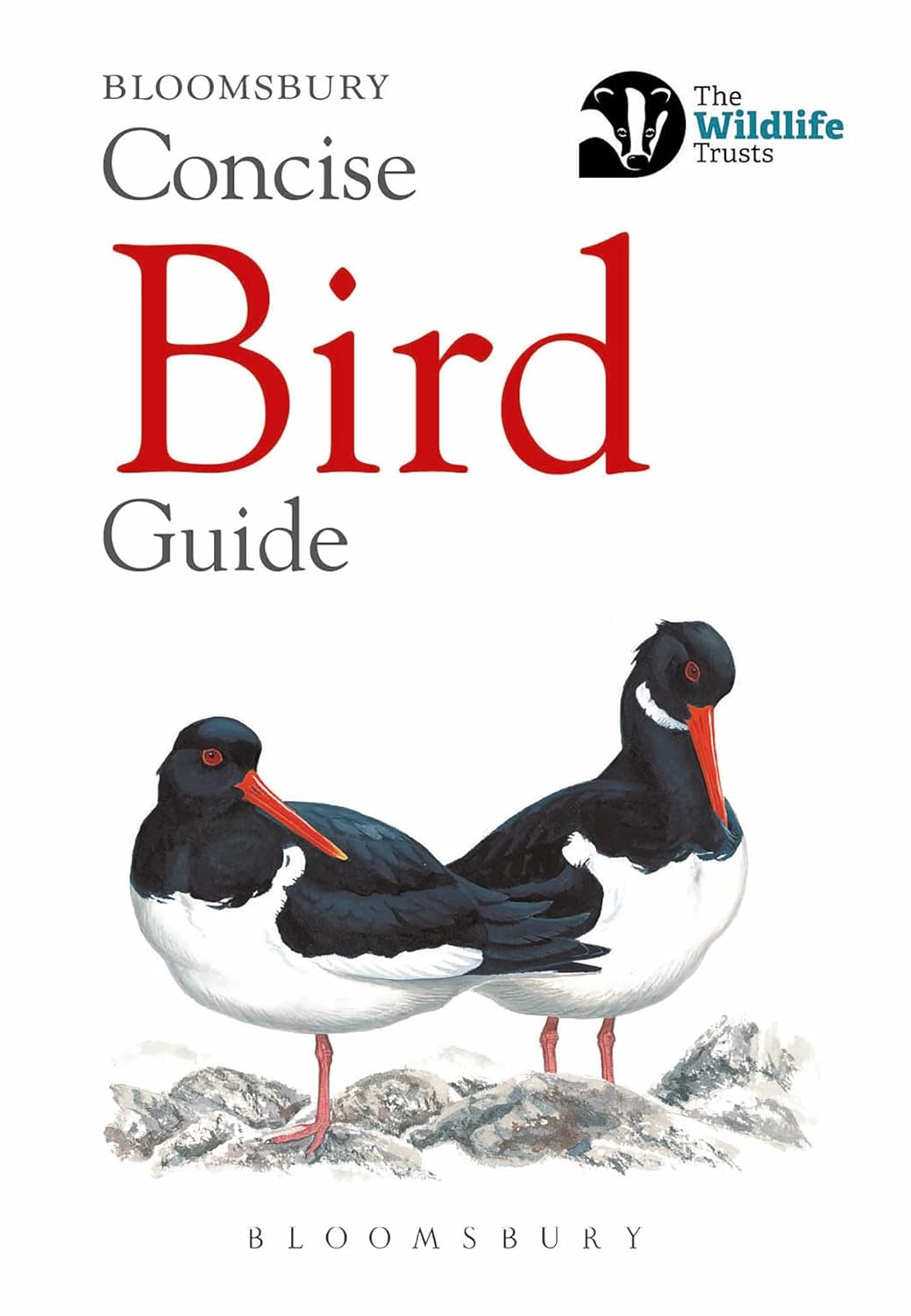 Concise Bird Guide - By Bloomsbury