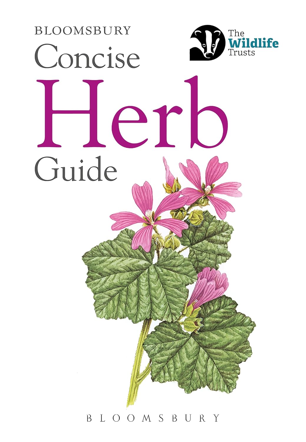 Concise Herb Guide - By Bloomsbury