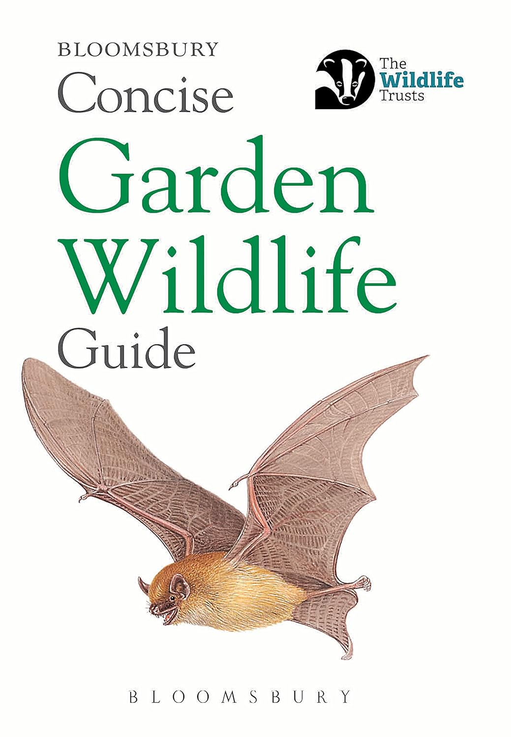Concise Garden Wildlife Guide - By Bloomsbury