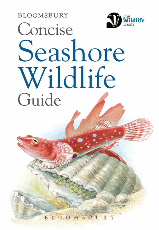 Concise Seashore Wildlife Guide - By Bloomsbury