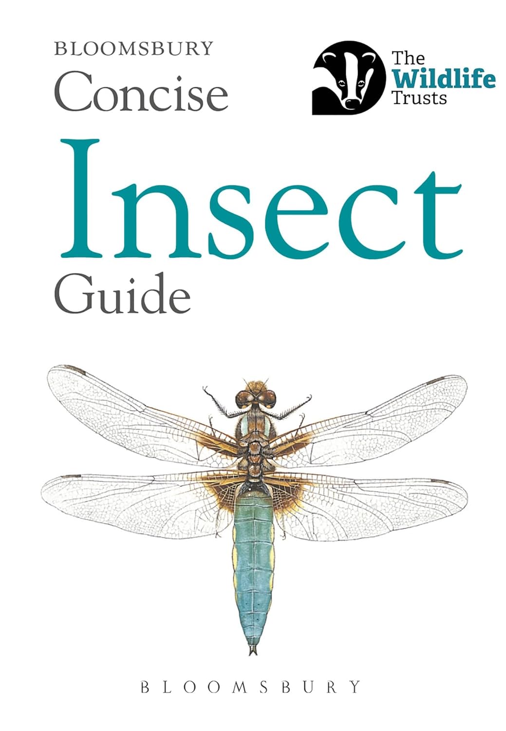 Concise Insect Guide - By Bloomsbury