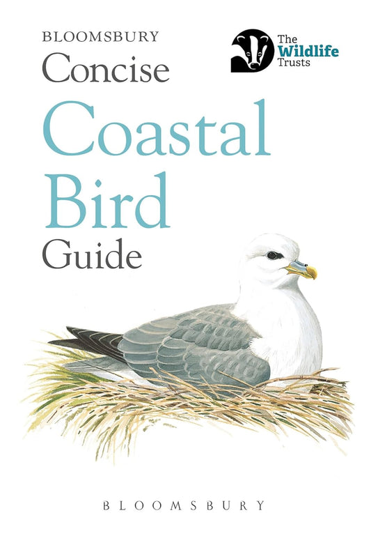 Concise Coastal Bird Guide - By Bloomsbury