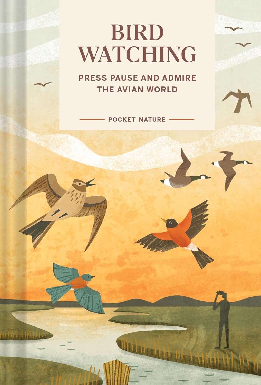 Pocket Nature: Bird Watching- By Andrea Debbink