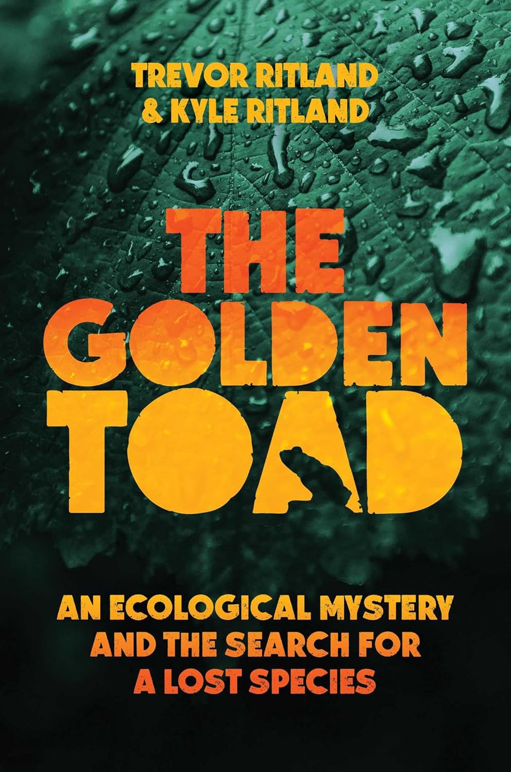 The Golden Toad - By Trevor Ritland & Kyle Ritland