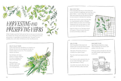 The Magic of Seeds - By Clare Gogerty