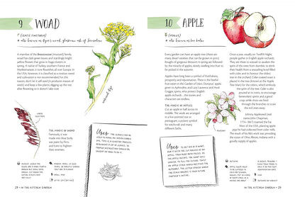 The Magic of Seeds - By Clare Gogerty