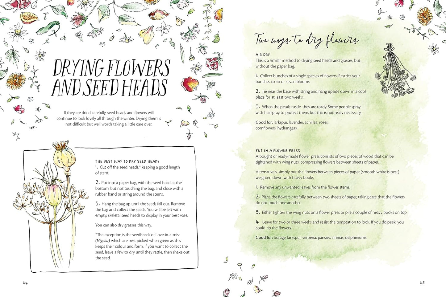 The Magic of Seeds - By Clare Gogerty