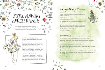 The Magic of Seeds - By Clare Gogerty