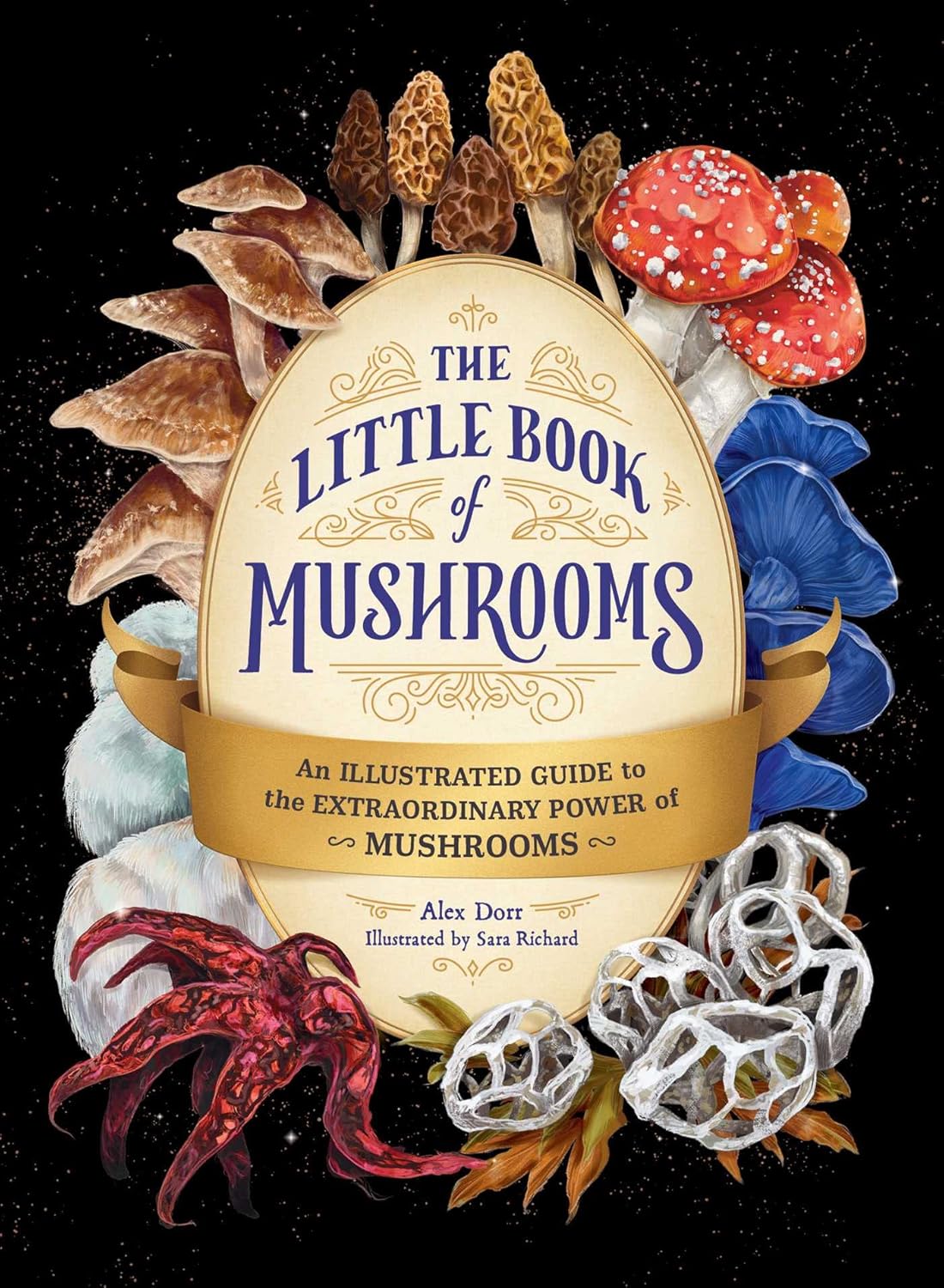 The Little Book of Mushrooms - By Alex Dorr