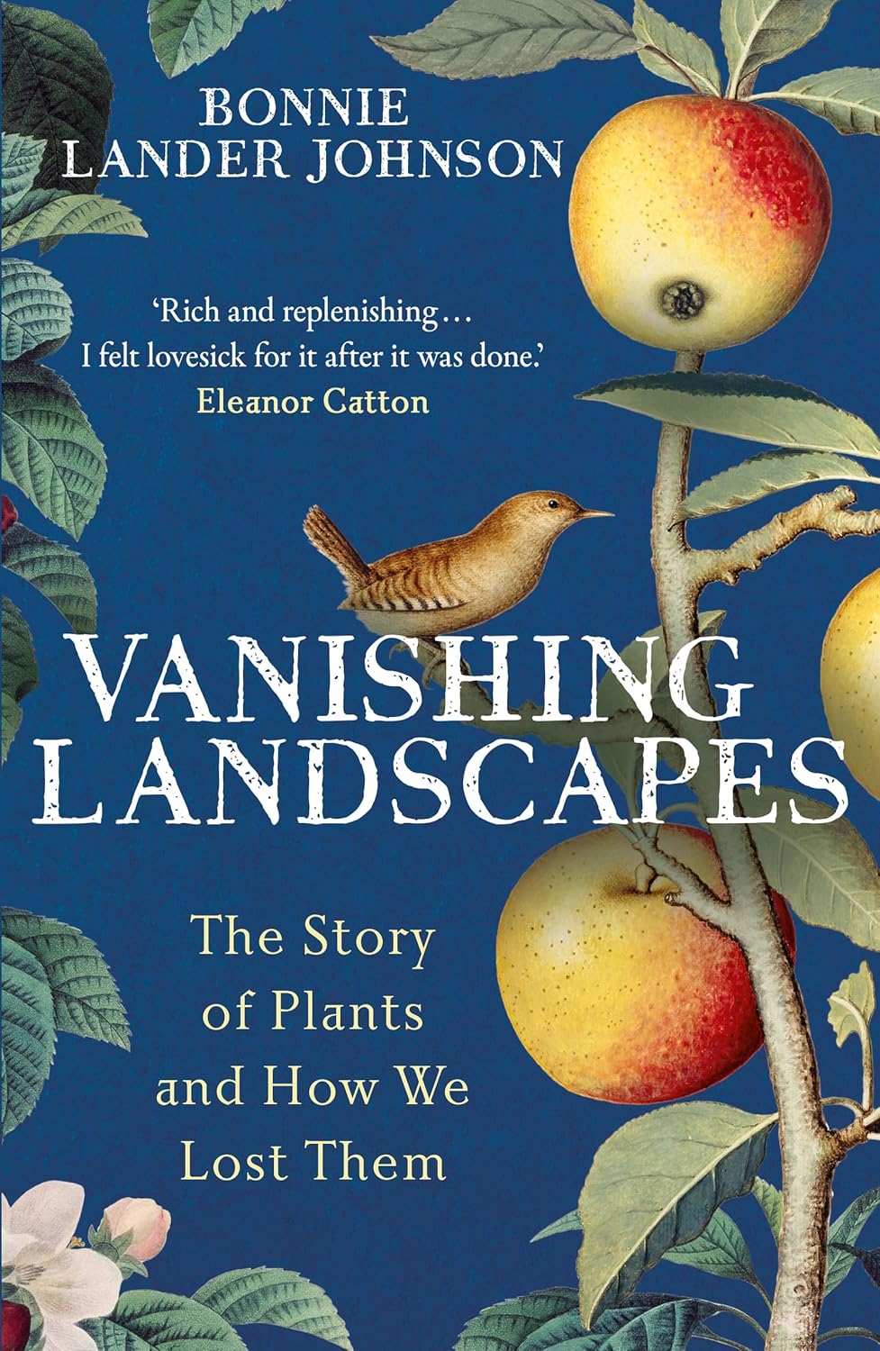 Vanishing Landscapes - By Bonnie Lander Johnson