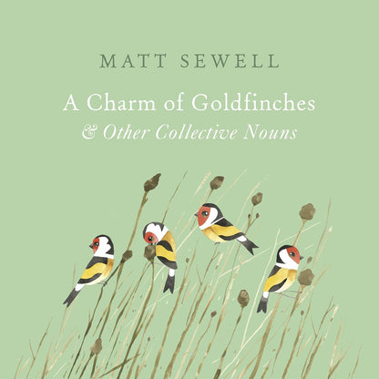 A Charm of Goldfinches - By Matt Sewell
