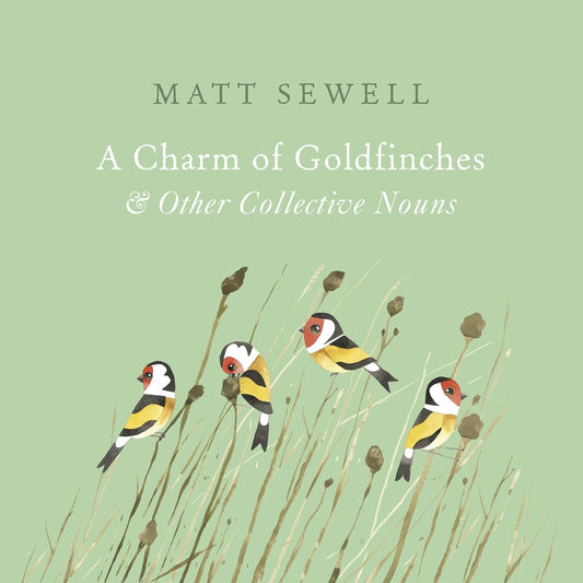 A Charm of Goldfinches - By Matt Sewell