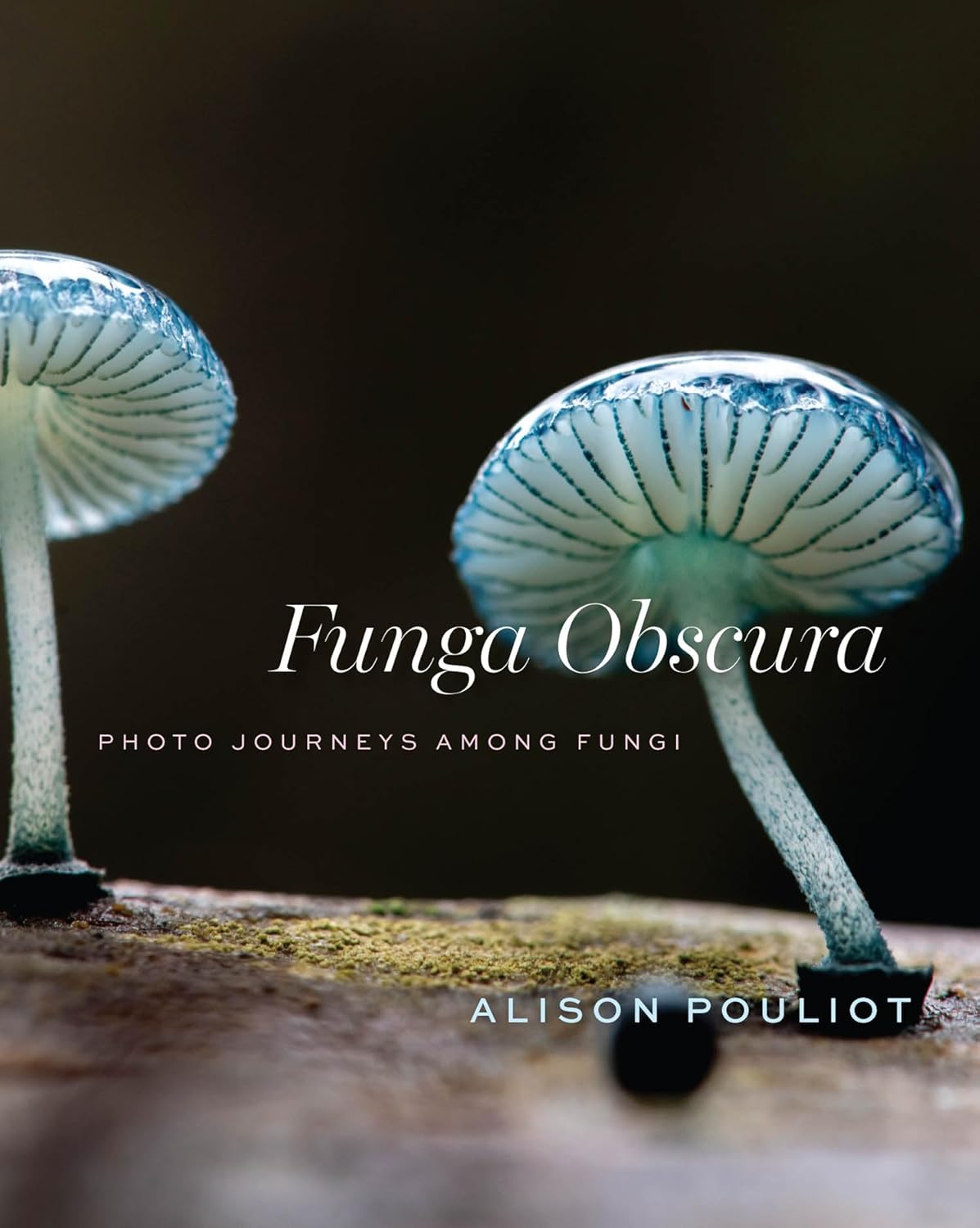 Funga Obsura - By Alison Pouliot