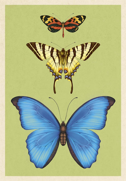 Insectarium Poster Book - By Dave Goulson