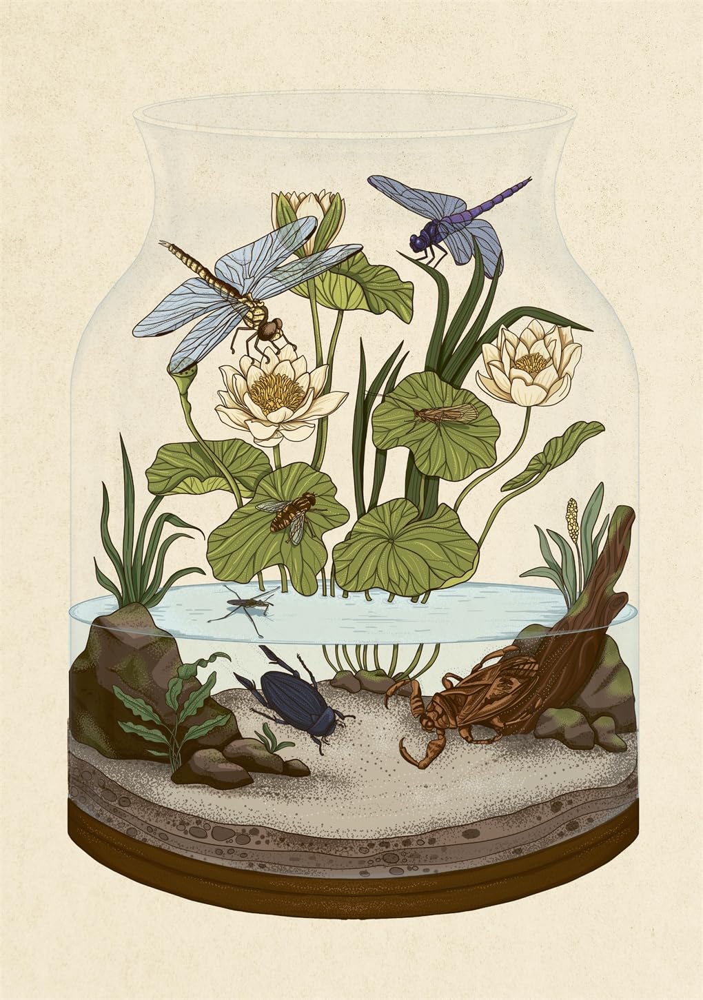 Insectarium Poster Book - By Dave Goulson