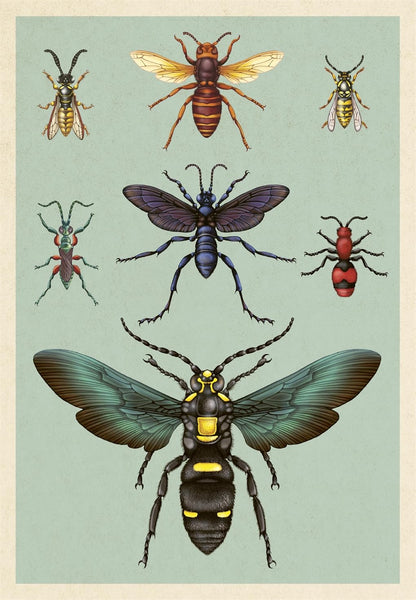 Insectarium Poster Book - By Dave Goulson