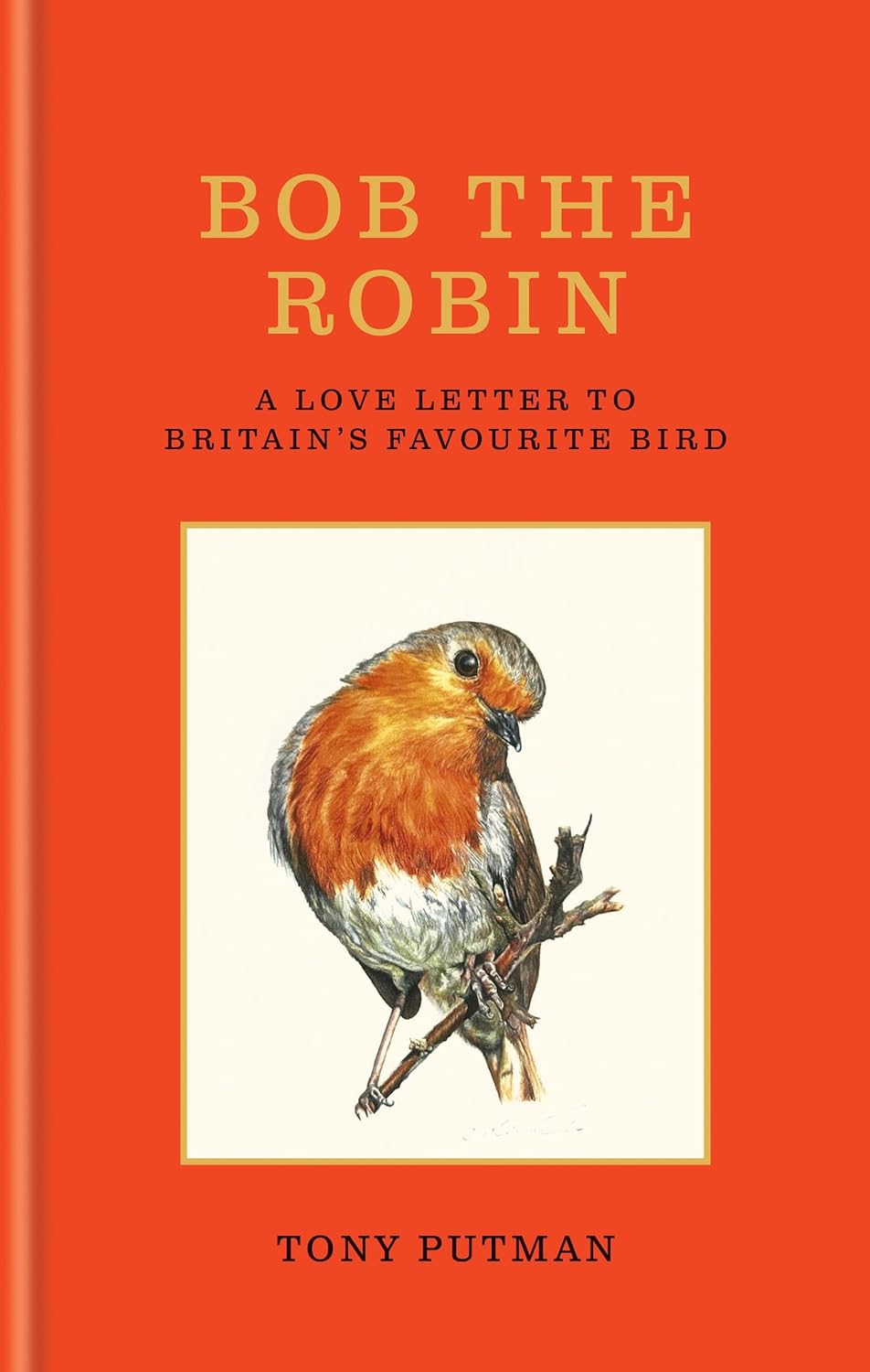 Bob the Robin - By Tony Putman