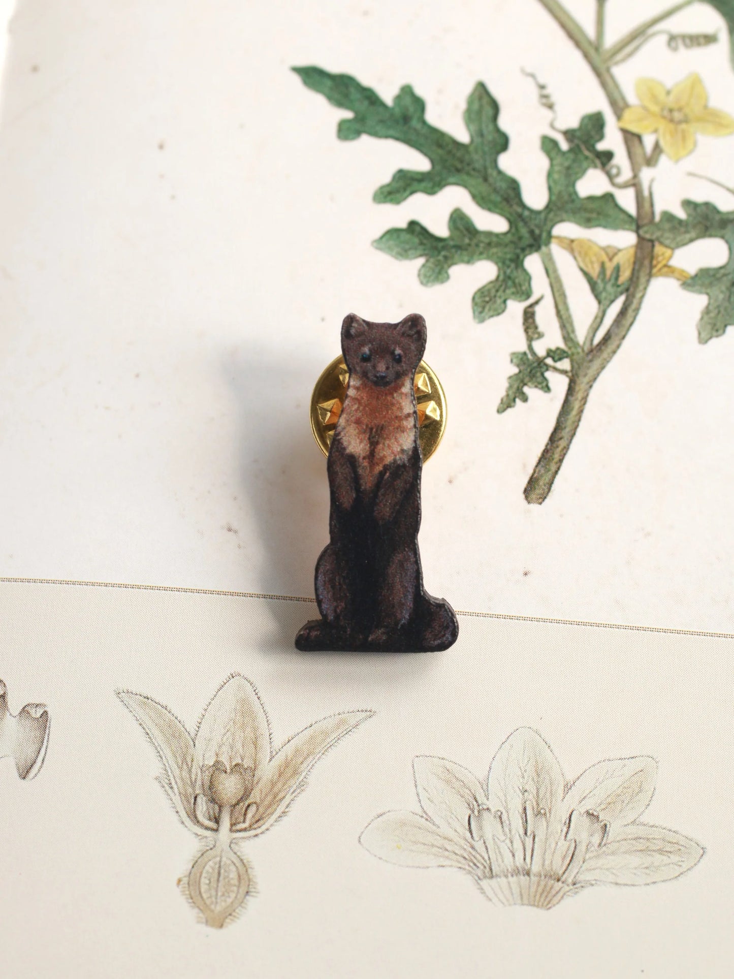 Pine Marten Pin