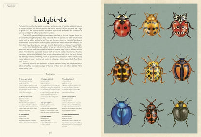 Insectarium - By Emily Carter & Dave Goulson