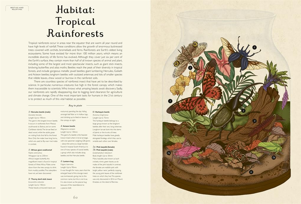 Insectarium - By Emily Carter & Dave Goulson