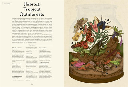 Insectarium - By Emily Carter & Dave Goulson