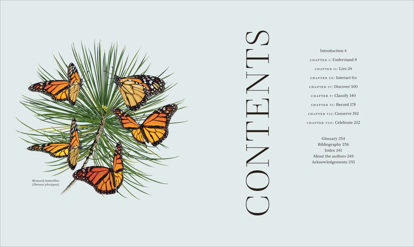 Insects - By The Royal Entomological Society (Hardback)