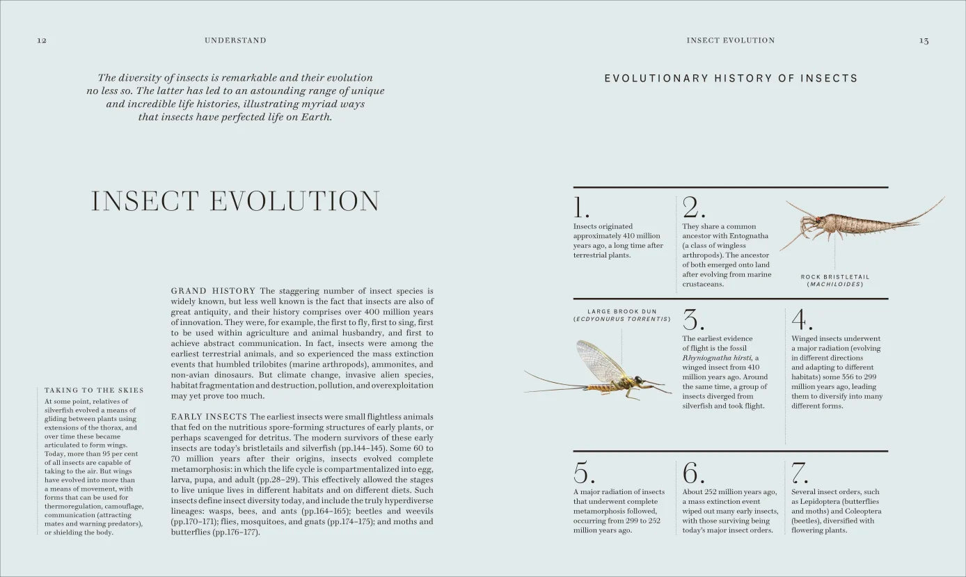 Insects - By The Royal Entomological Society (Hardback)