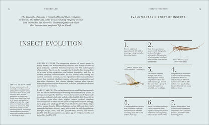 Insects - By The Royal Entomological Society (Hardback)
