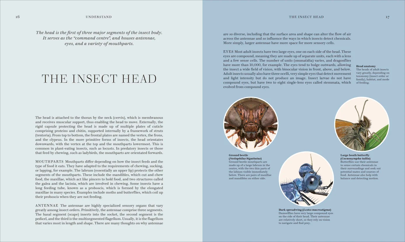 Insects - By The Royal Entomological Society (Hardback)