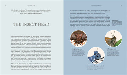 Insects - By The Royal Entomological Society (Hardback)