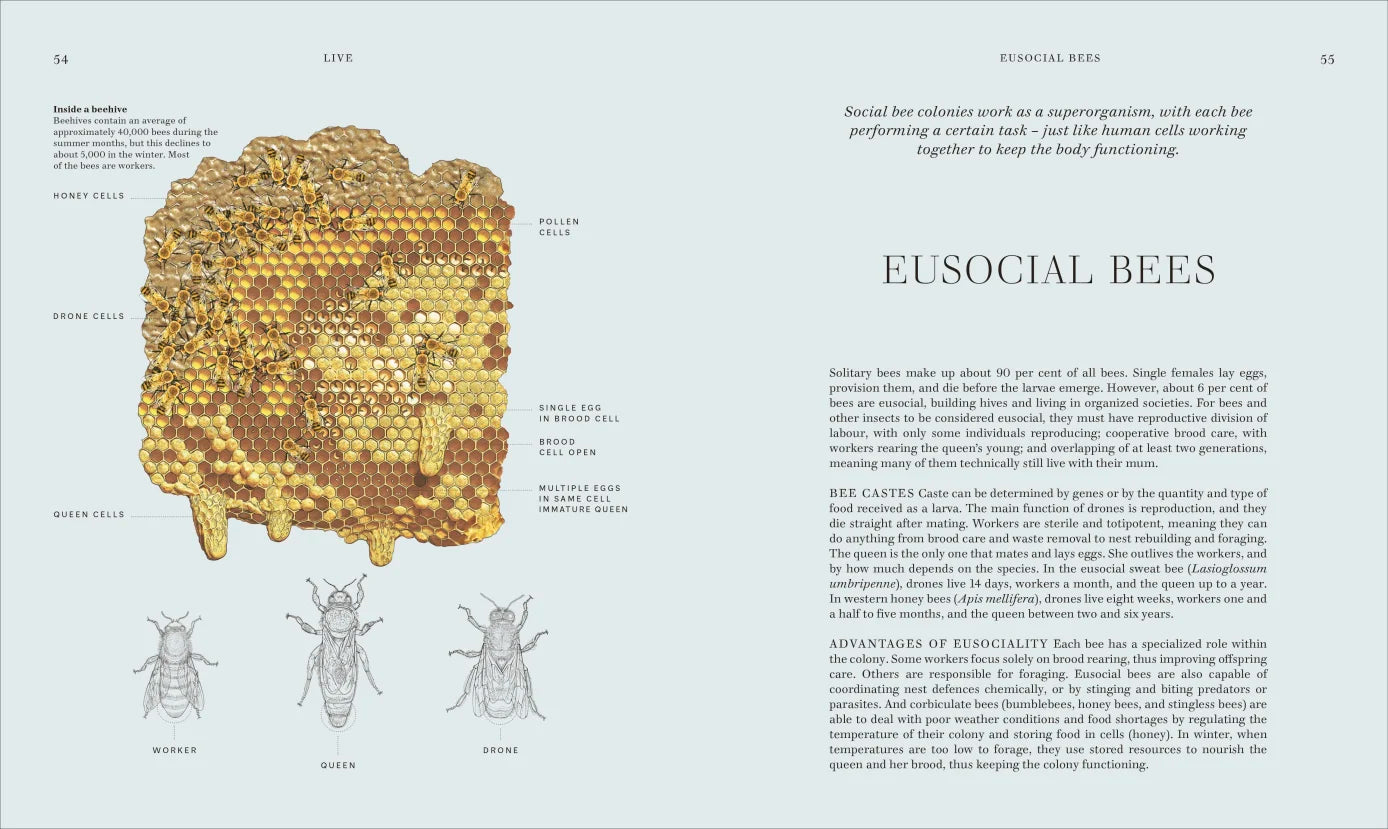 Insects - By The Royal Entomological Society (Hardback)