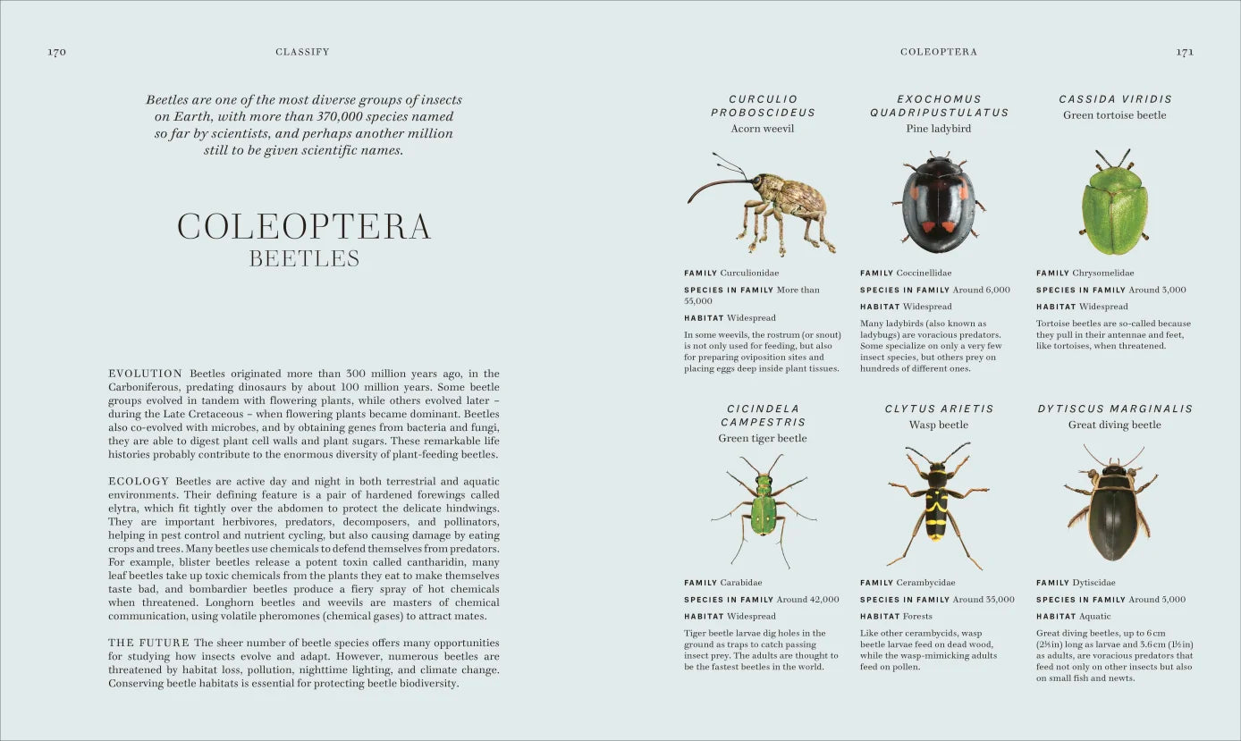 Insects - By The Royal Entomological Society (Hardback)