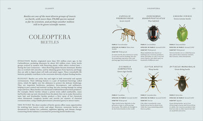 Insects - By The Royal Entomological Society (Hardback)